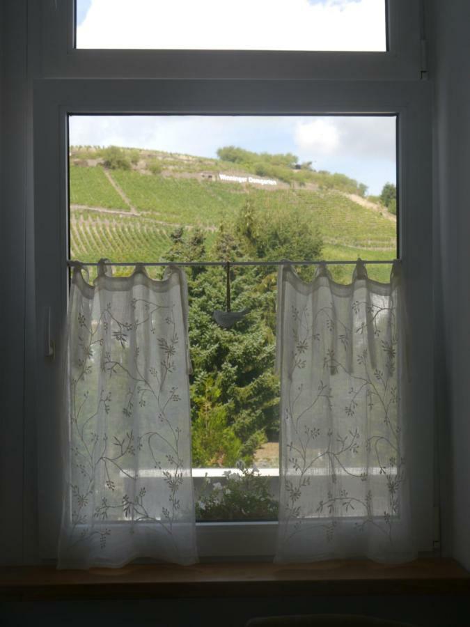 Апартаменты Altes Weingut Weinhaus Rebstock Виннинген Экстерьер фото